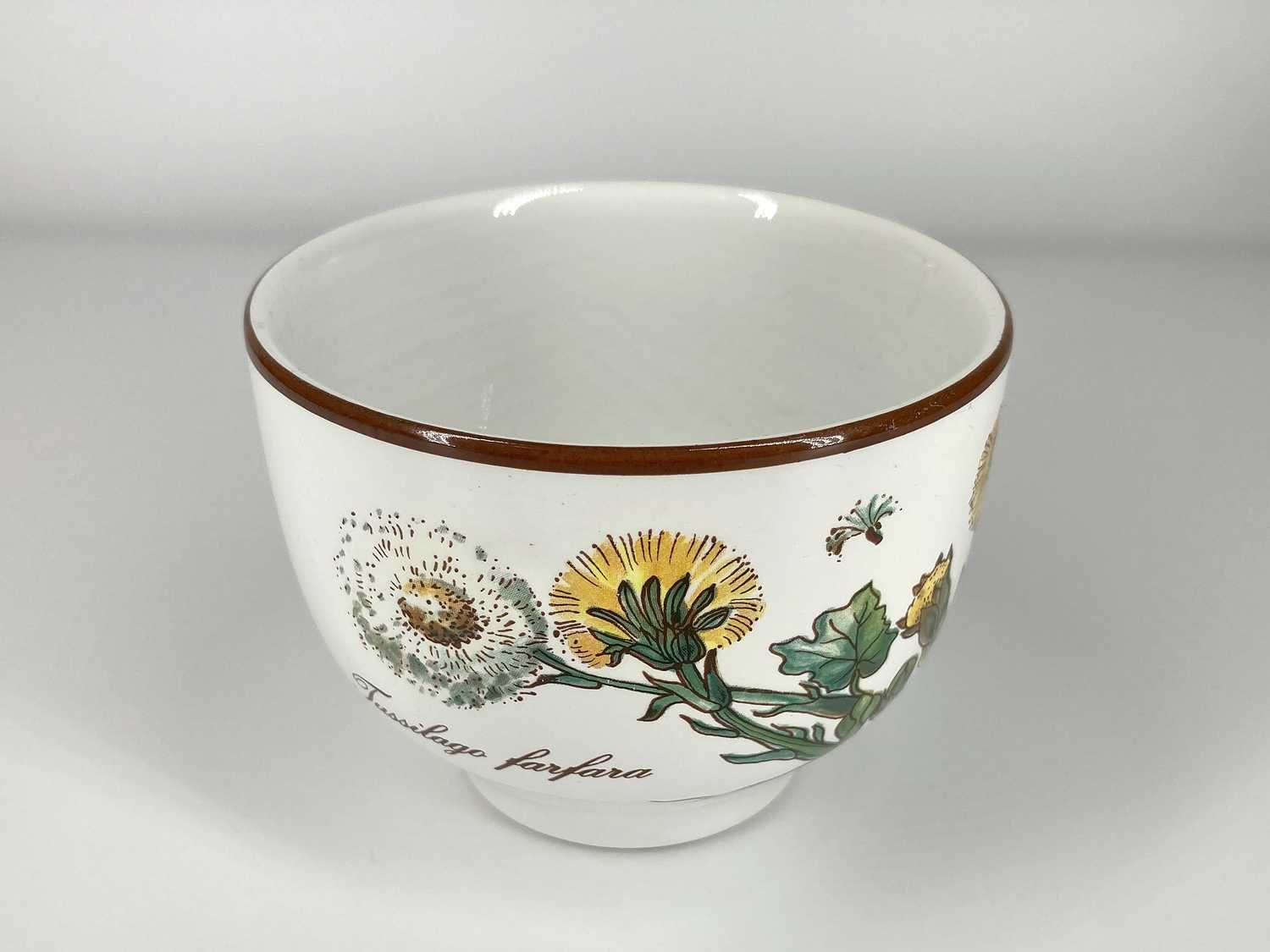 Villeroy&BochBotanica MISECZKA *96