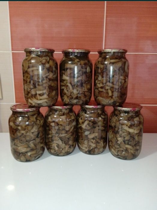 Продам опеньки в літрових банках
