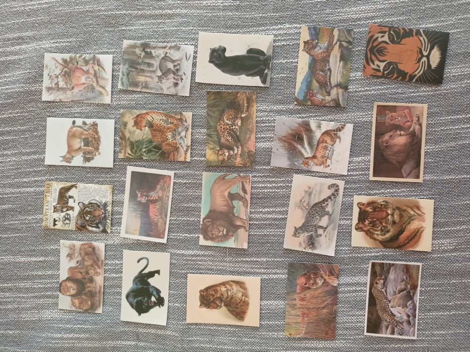 Naklejki - cena za całość