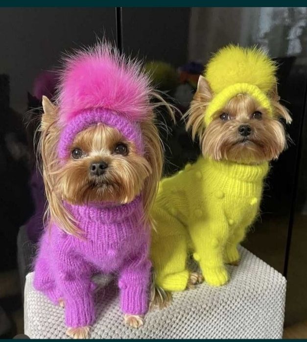 пухові светри для собак