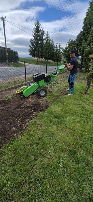 Ścinka, wycinka drzew trudnych, rębakowanie gałęzi, usuwanie pni