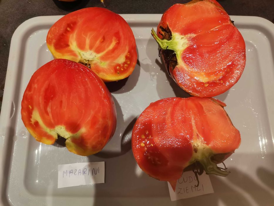 Nasiona kolekcjonerskie pomidorów, papryk i innych warzyw .