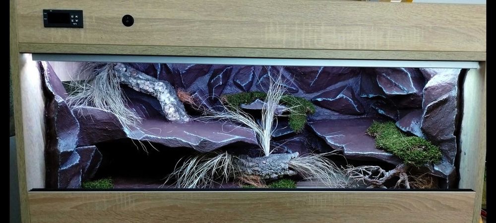 Terrarium pustynne dla gekona lamparciego 60x40x40 ( Exotic Leszno )