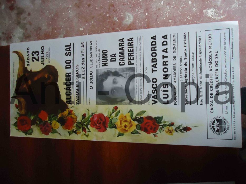 Toiros - Cartazes de Montra 1