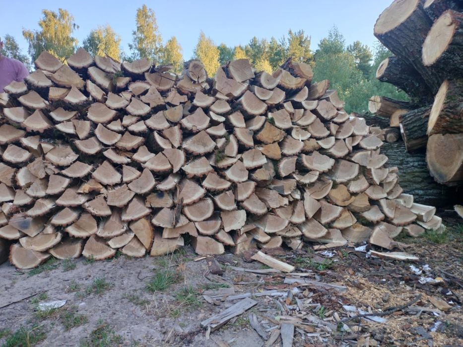 Drewno opałowe liściaste i iglaste