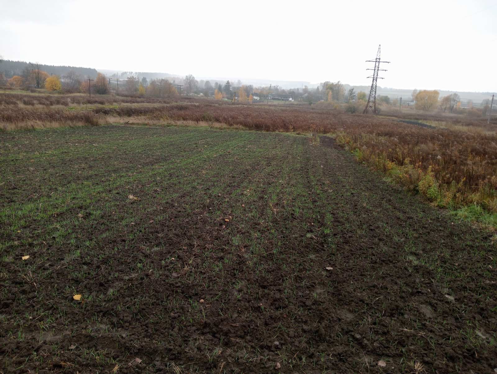 Земля в  селі Стрижівка