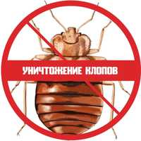 Уничтожение насекомых дизинфекция квартир,домов.