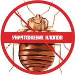 Уничтожение насекомых дизинсекция квартир,домов.