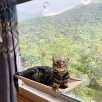 Cama/rede de janela para gatos