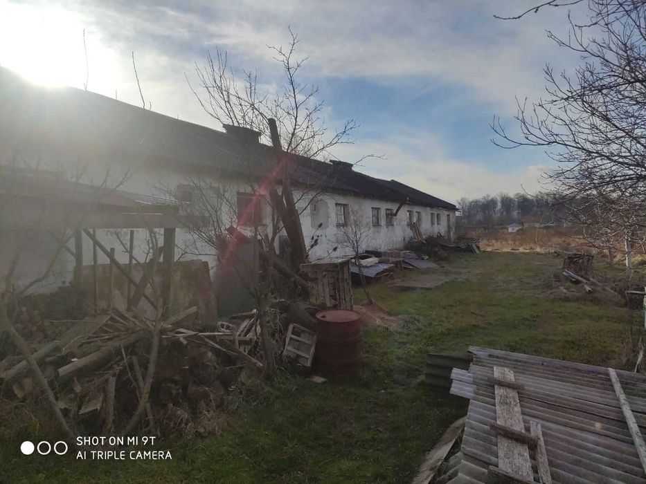 Ферма / Приміщення ферми/ сільсько господарське приміщення