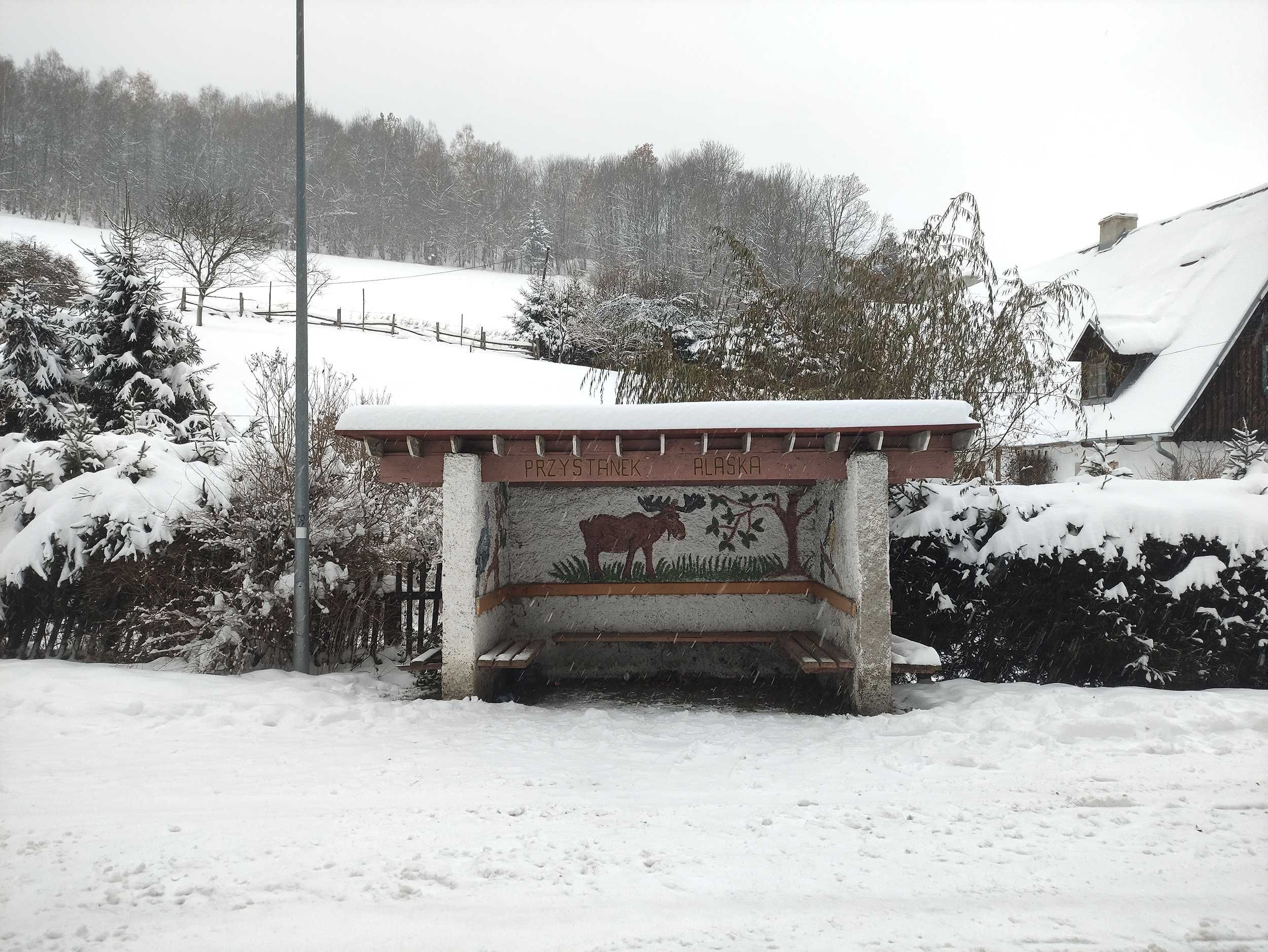 Widokowa działka w górach na końcu wsi Konradów, lasy wokół