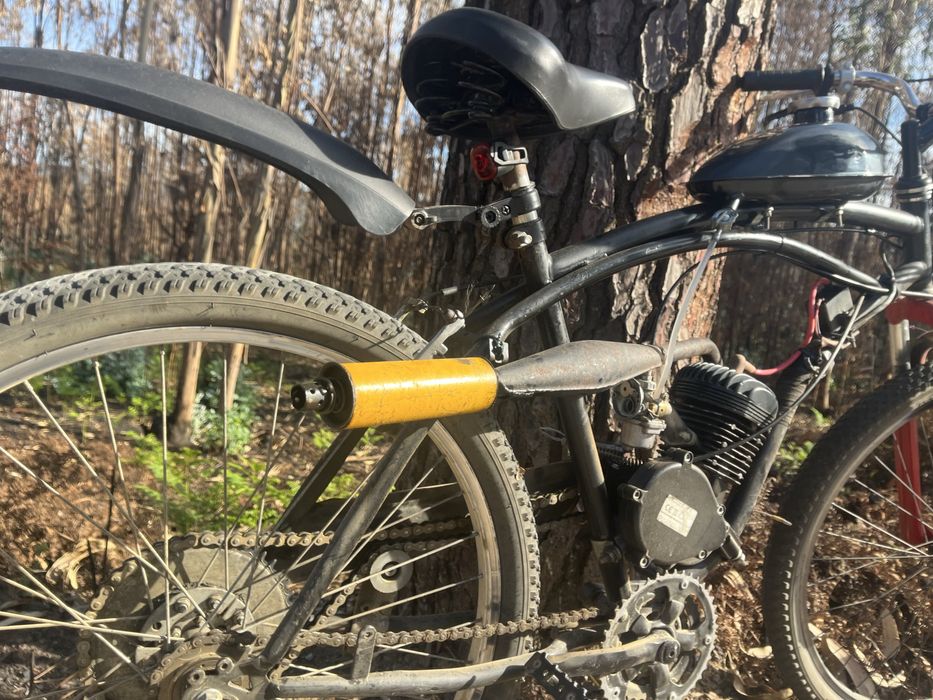 Bicicleta motorizada