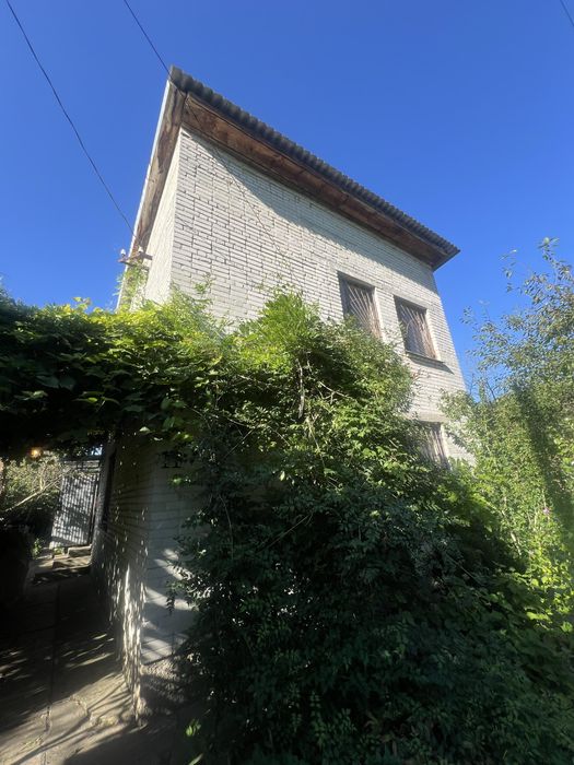 Калинка велика керниця