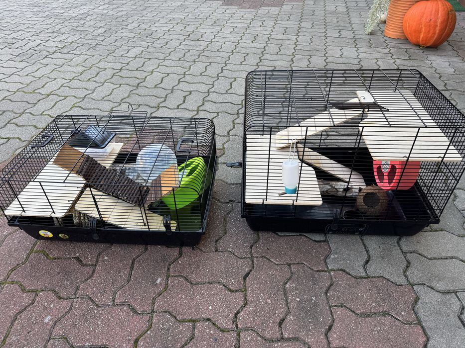 Dwie klatki dla chomików