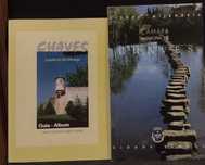 Chaves 2 Livros/Guias ver descrição