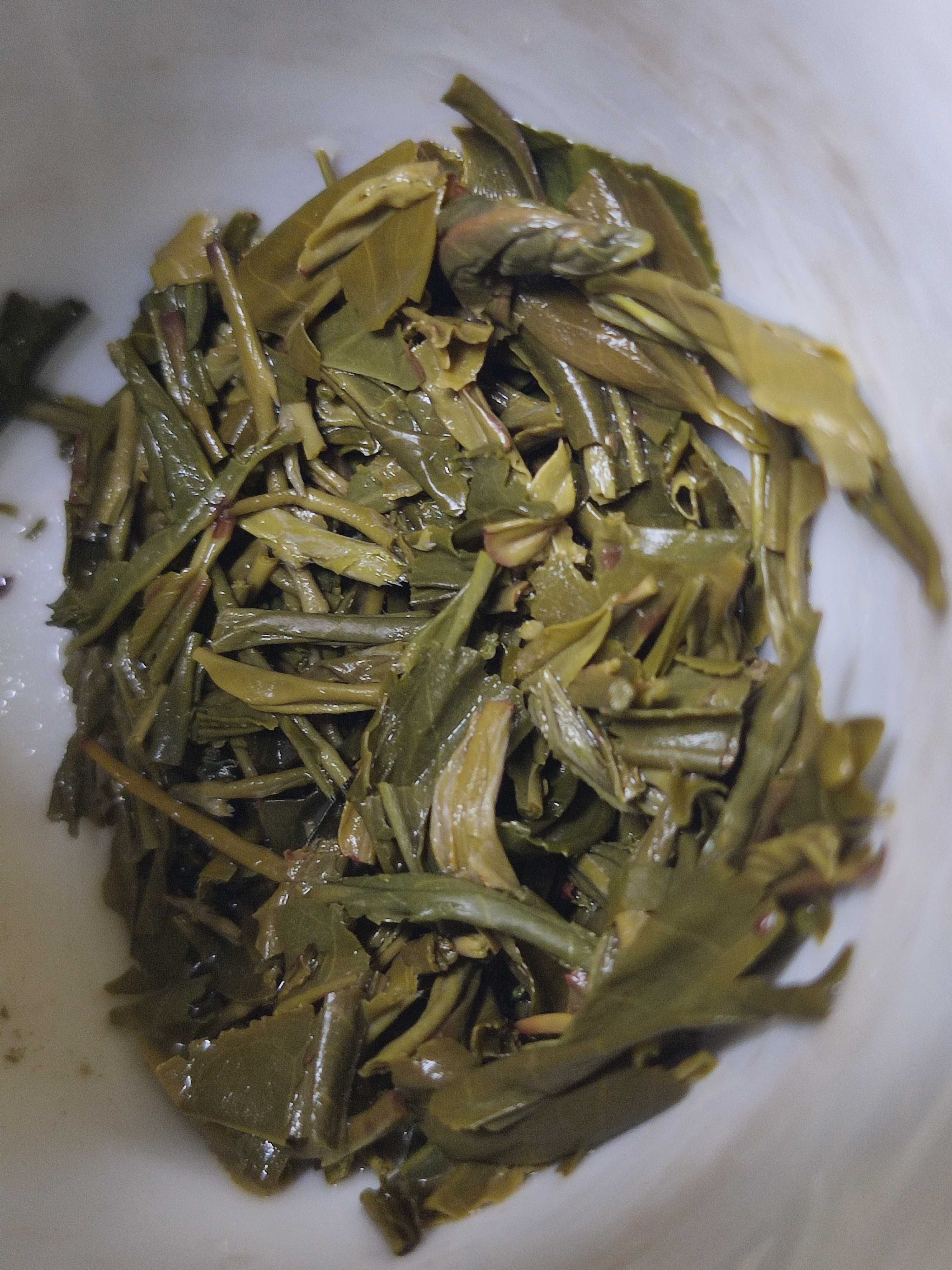 Chá "Camellia Sinensis"
