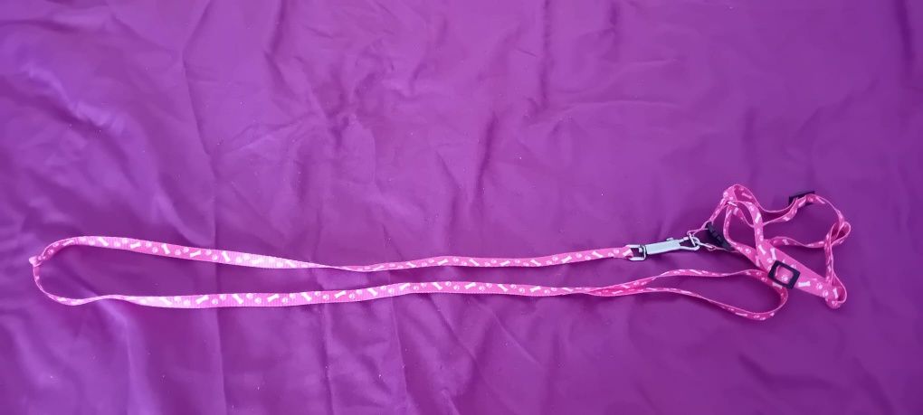 Trela para cão de porte pequeno