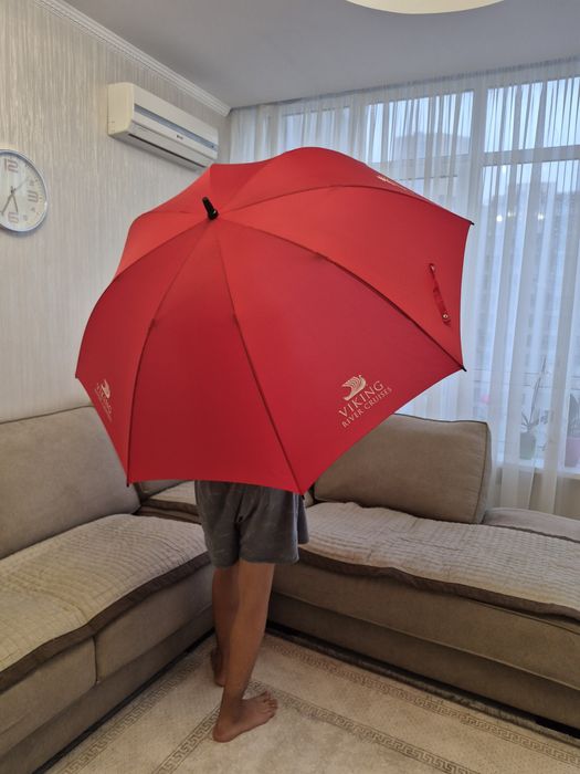 Парасолька тростина