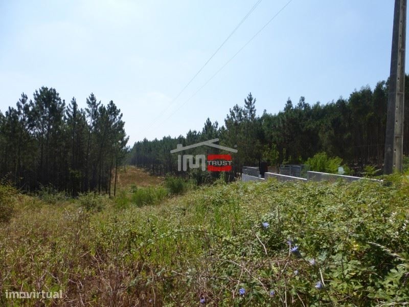 Lote de terreno em Suímo