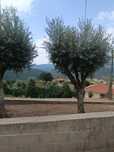 Terreno Urbano Bom investimento