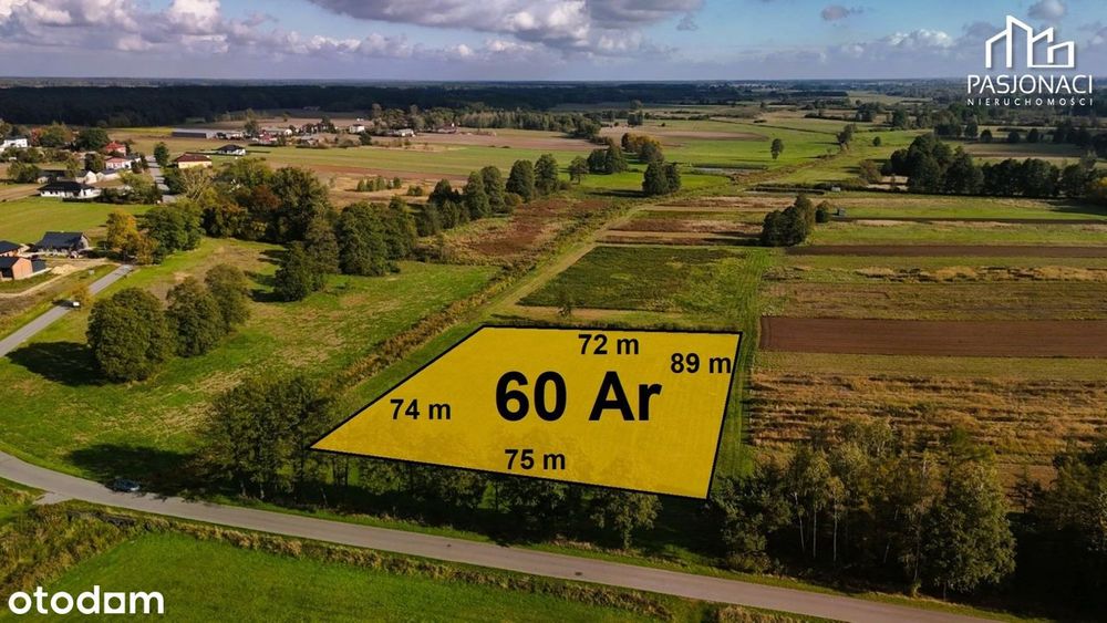 Działka rekreacyjna - możliwość wykopania stawu