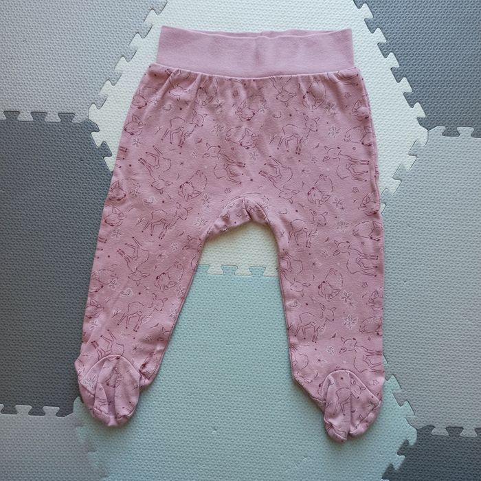 Półśpiochy dziewczęce 80