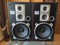 Kolumny Pioneer CS-989