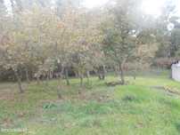 Terreno 1473 m2 Bustelo