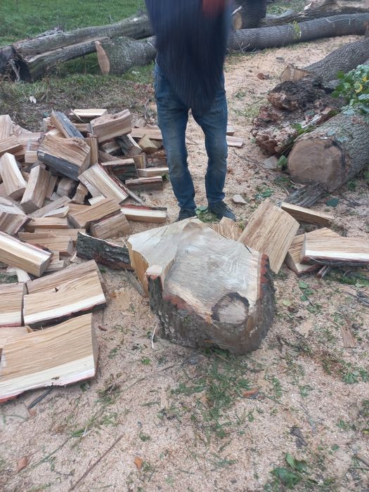 Дрова Чернівці тверда порода