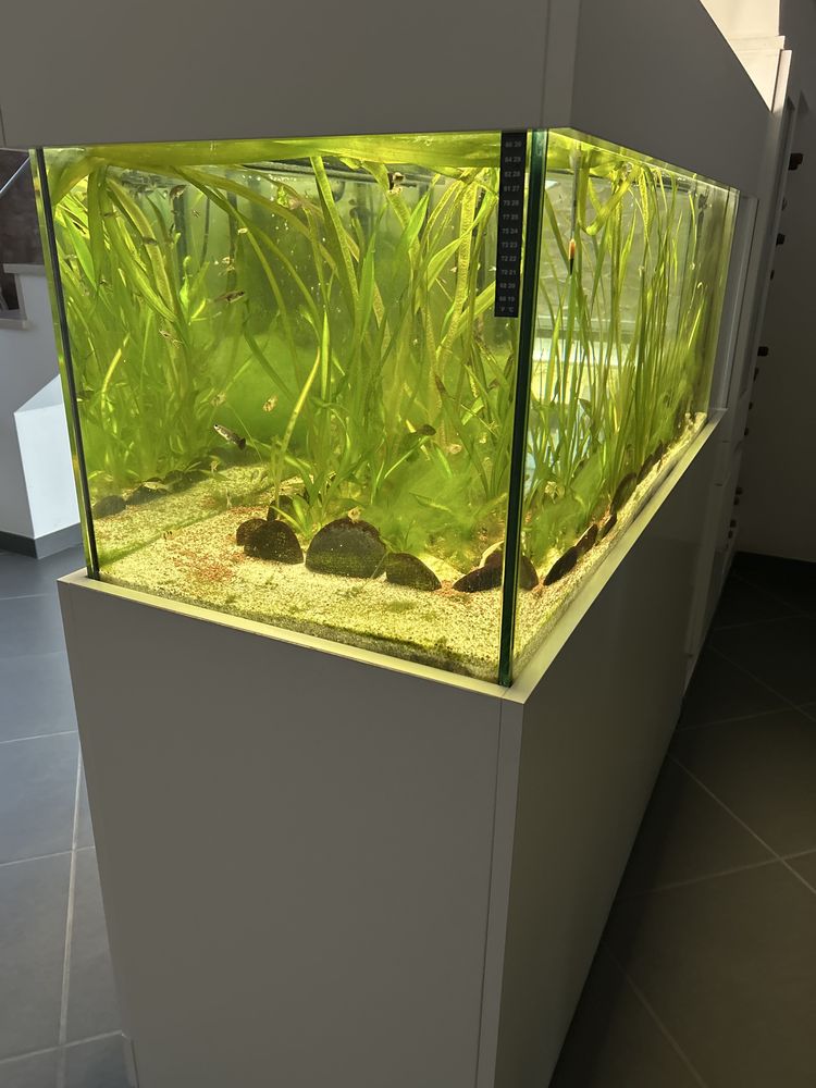 Aquario com movel e sistema de filtragem