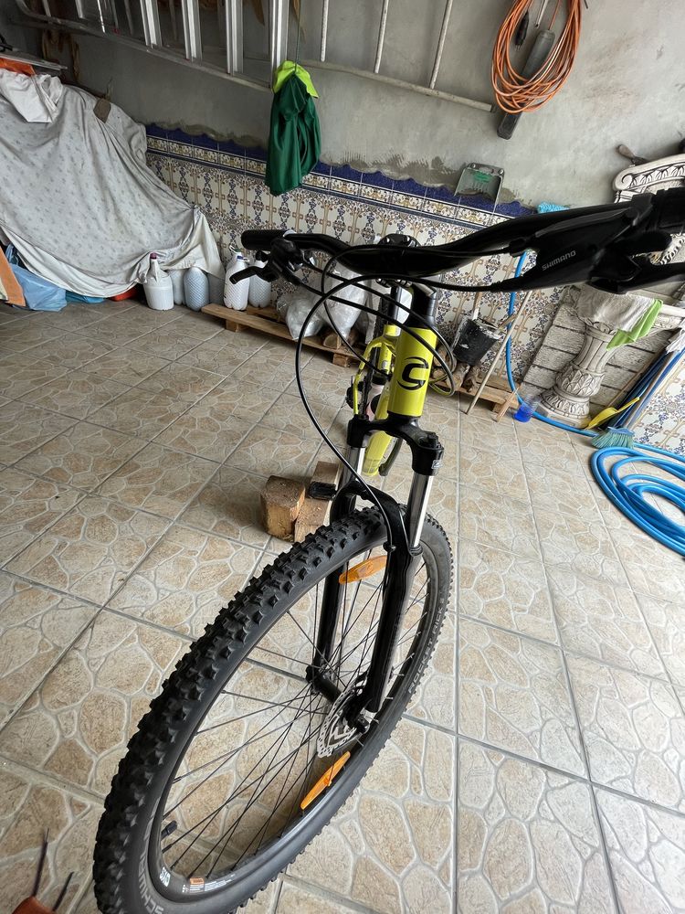 Cannondale trail 8 2021