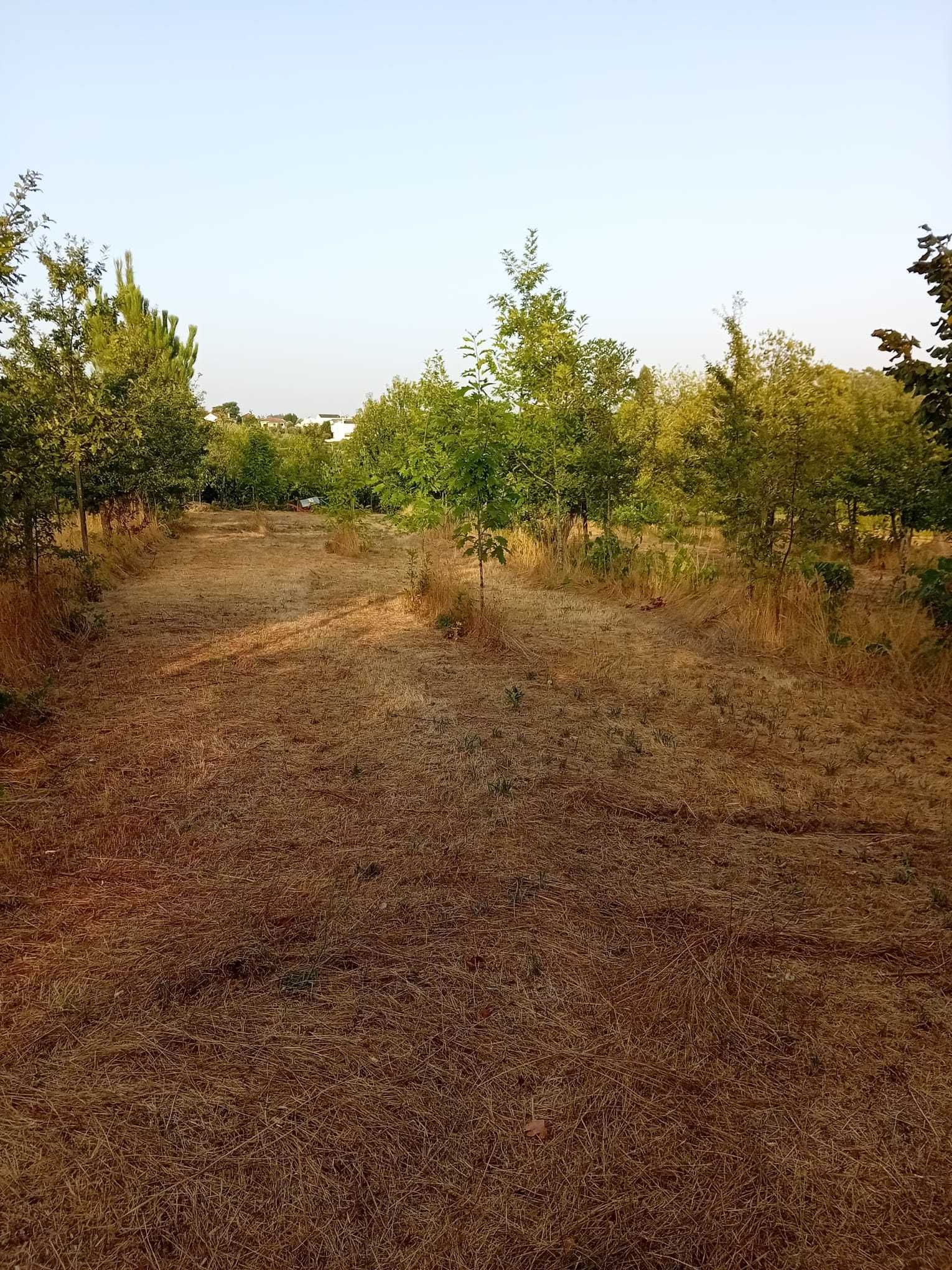 Terreno rural Boa Aldeia