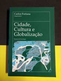 Carlos Fortuna - Cidade, cultura e globalização