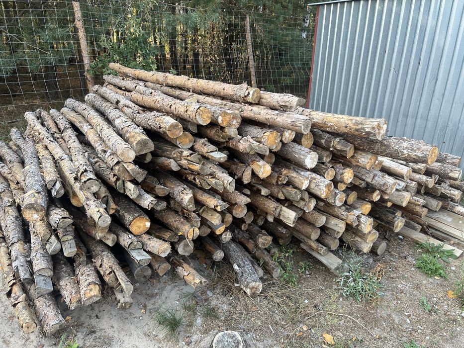 Stemple budowlane szt.ok.220