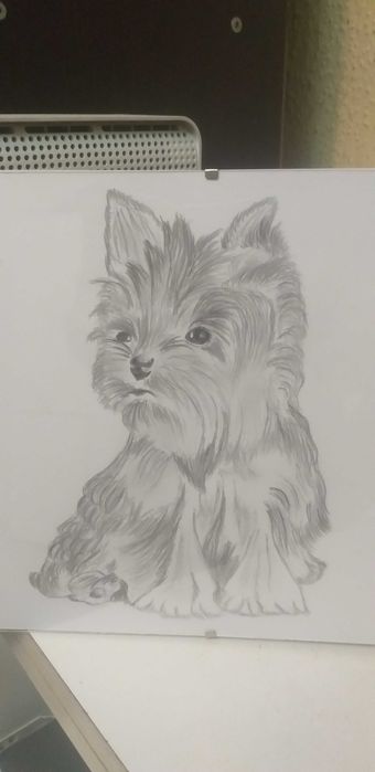 Wykonam rysunek ze zdjęcia