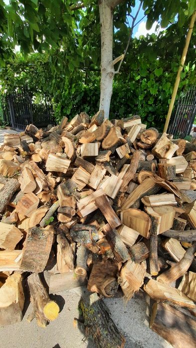 Дрова твердых пород