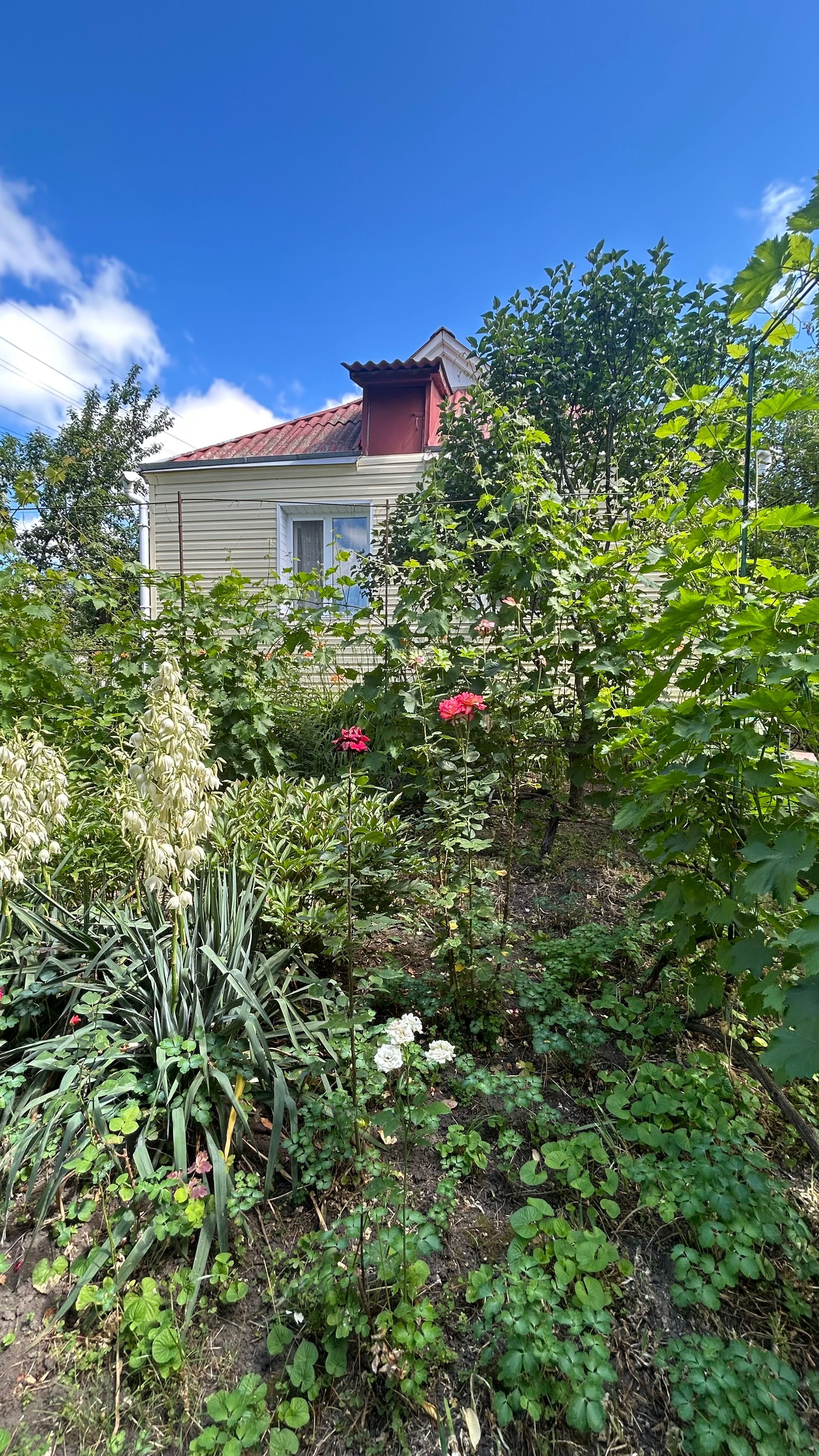 Продаж будинку в с. Дубівка