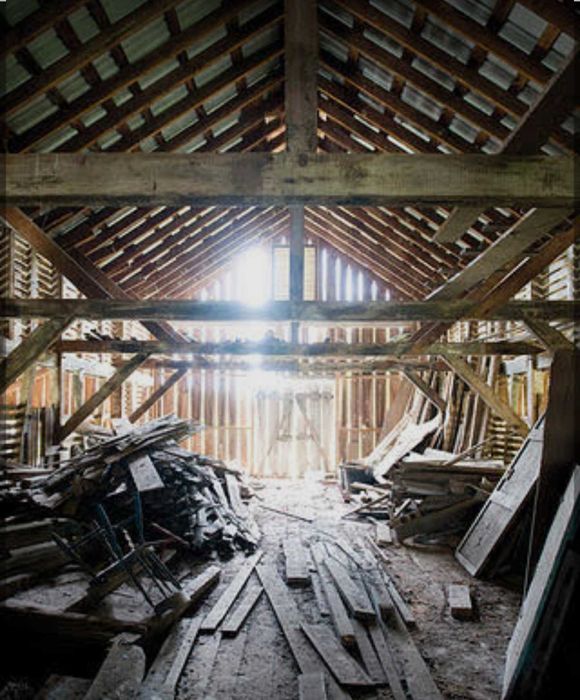 Recolha de Monos /Limpeza de Sótãos/Lojas/casas