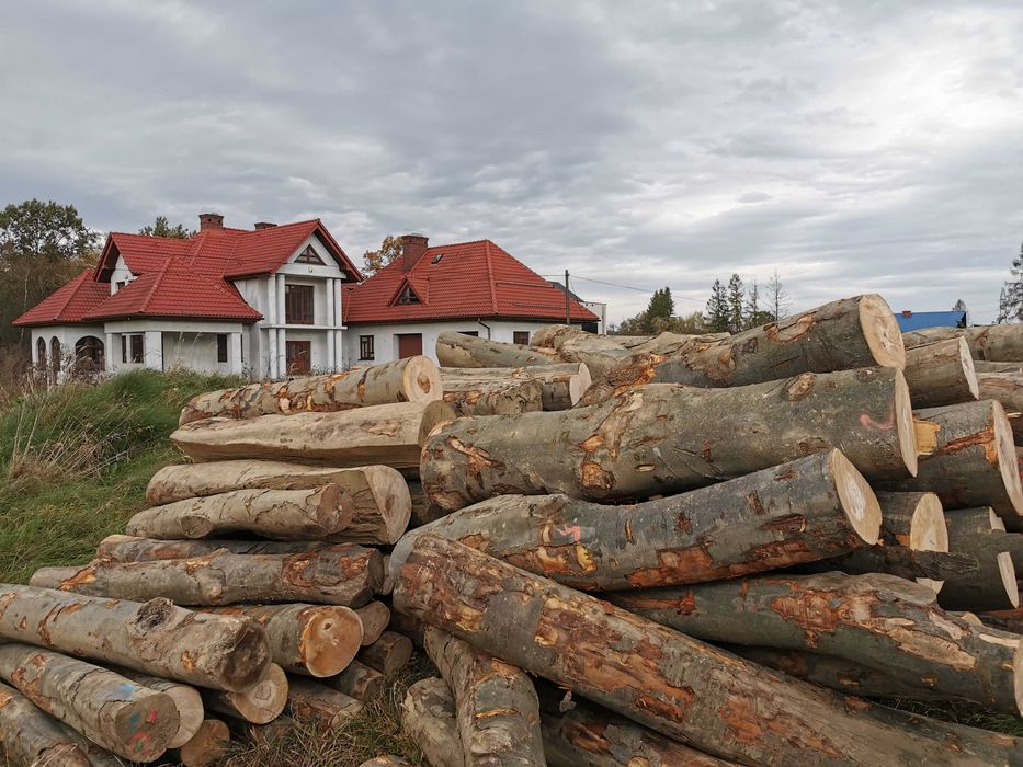 Drewno Opałowe Kominkowe Buk Grab Sezonowany Transport