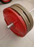 Bumpers 10kg 15kg Halteres 25kg