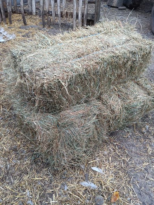 Продам тюки сіна різнотрав'я