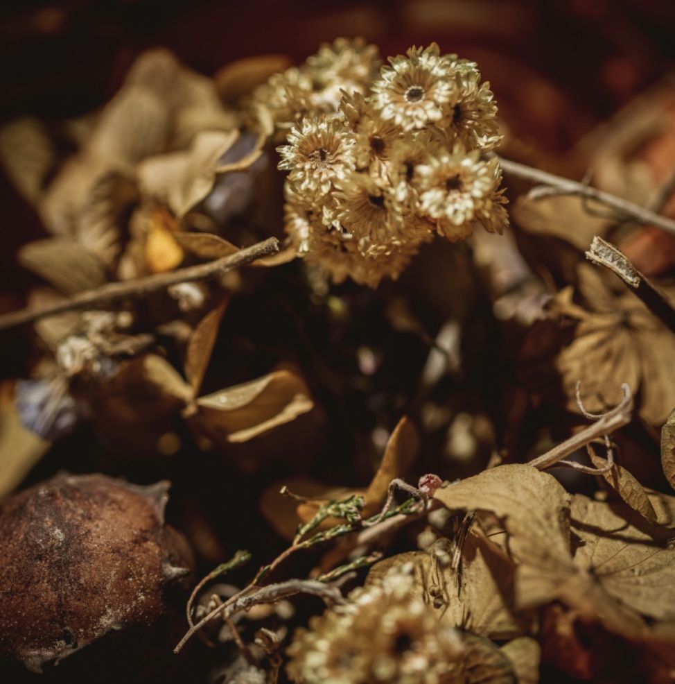 Pot-pourri Natural Floral