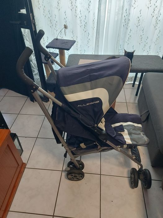 Carrinho de passeio (bengala road)