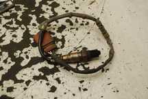 SONDA LAMBDA 06A906262AA AUDI A3 8L LIFT 1.6 1.8T VW GOLF IV SEAT SKODA