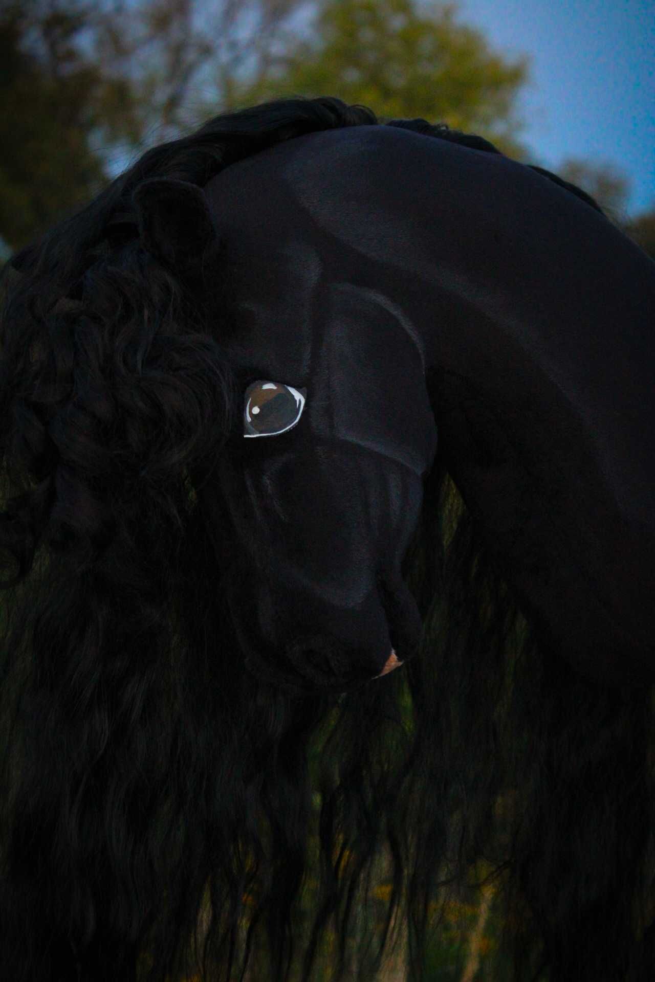Hobby horse ujeżdżeniowy A3