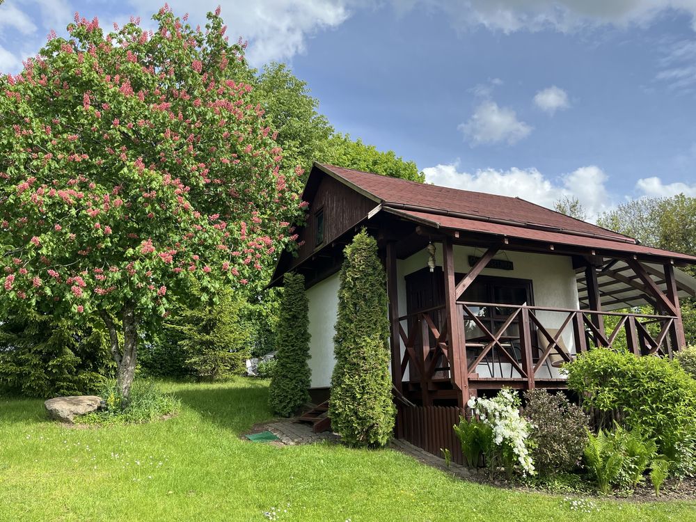 Domek  POD KASZTANEM - Kruklanki /Brożówka 53 G /. Wolne terminy