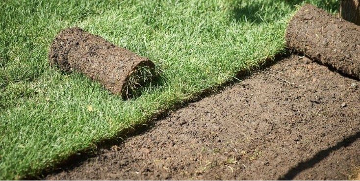Trawa w rolce 40 m2 dostawa gratis, trawa z rolki,  TRAWNIK PREMIUM