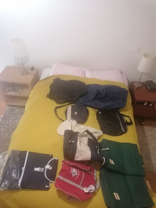 Sacos de viagens e férias variados