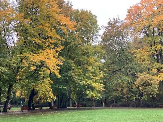 Bezpośrednio-2-pokojowe, umeblowane, Sołacz, dostępne od końca grudnia