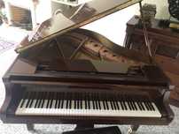 Piano de cauda castanho modelo GB1
